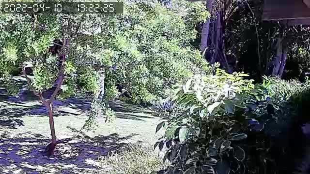 Pousada Vila Имбассаи Экстерьер фото